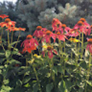 Meet your Posher, Deborah